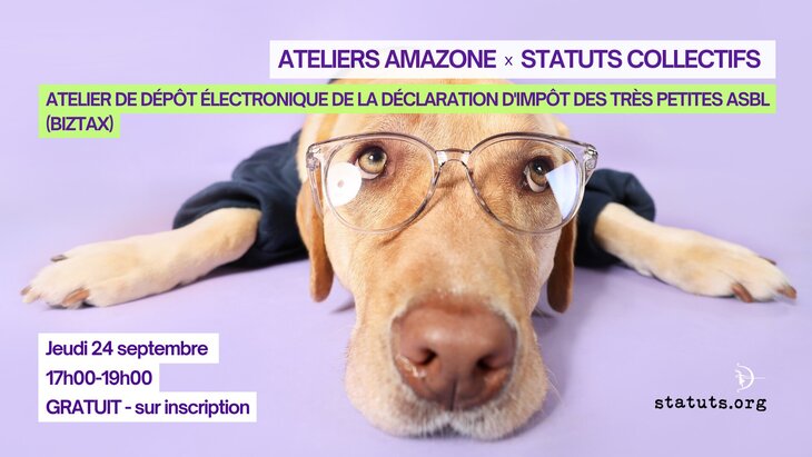 Stages,cours Atelier asbl : Déclaration d’impôt très petites Asbl (BizTax)