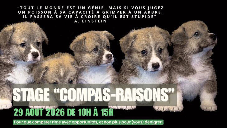 Stages,cours Stage Comparaison