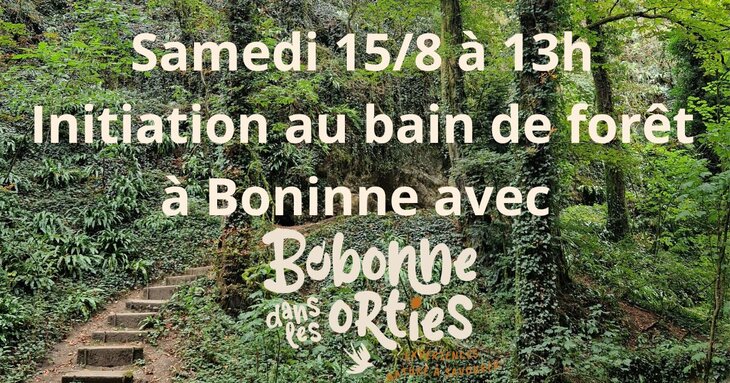Stages,cours Initiation bain forêt