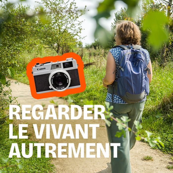 Loisirs Regarder vivant autrement - Animation balade photo