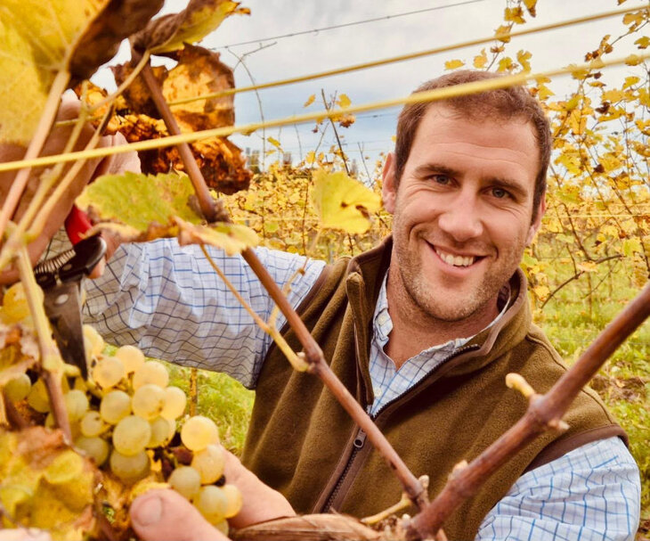 Loisirs Le Domaine Quantole, la vigne bouchon