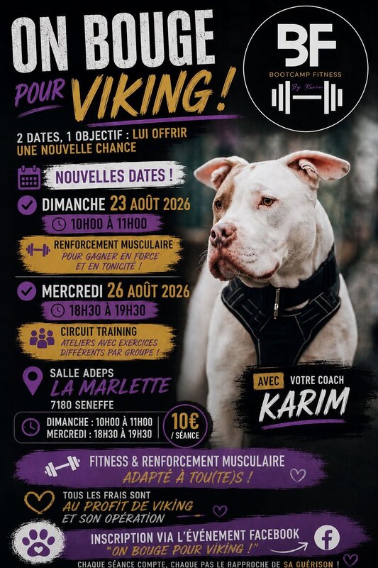 Stages,cours On bouge pour bonne cause 