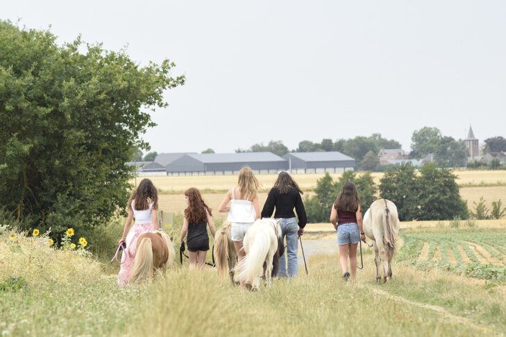 Stages,cours Les chevaux cœur notre projet Tsa
