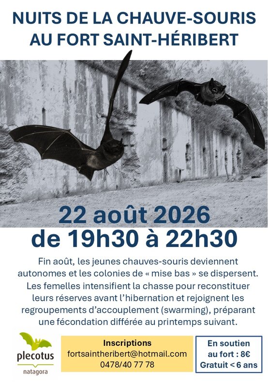 Loisirs Nuit la Chauve-Souris