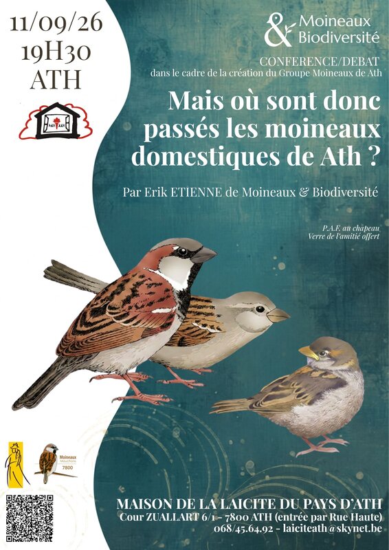 Conférences Mais sont donc passés moineaux domestiques Ath?