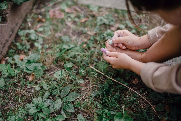 Stages,cours Stage Petits Druides