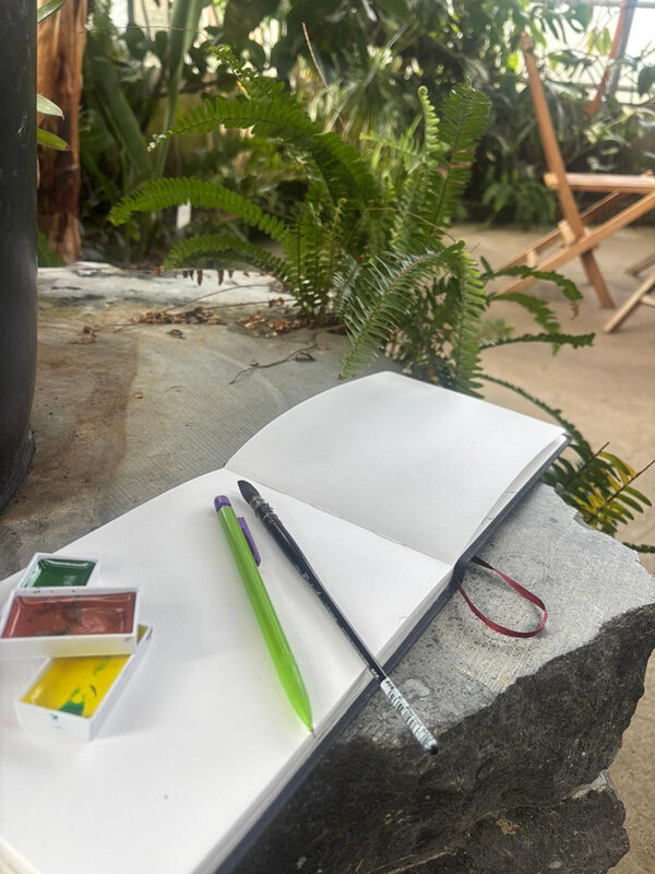 Stages,cours Atelier dessin reliure dans jardin botanique