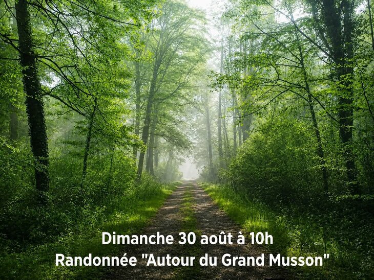 Loisirs Randonnée  Autour Grand Musson 