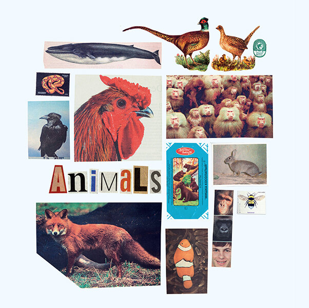 Expositions Animals