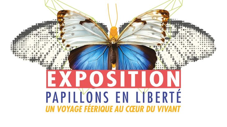 Expositions Papillons liberté, voyage féerique cœur vivant