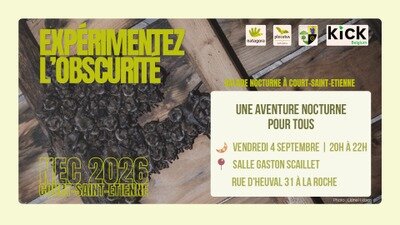 Loisirs Nuit Européenne chauves-souris Court-Saint-Etienne