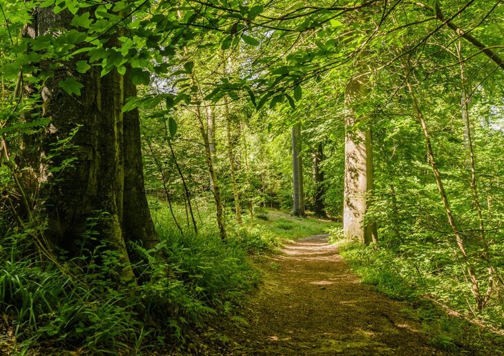 Loisirs Groenendael : retour la nature pour vieux prieuré un champ courses de