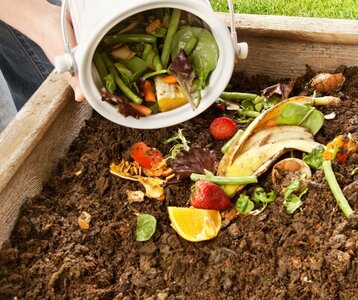Stages,cours Formation compostage