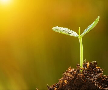 Stages,cours Produire récolter graines