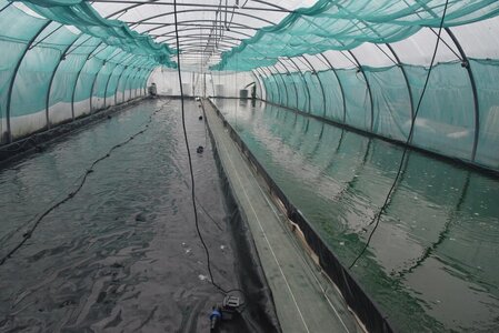 Loisirs Visite ferme spiruline Etika Spirulina