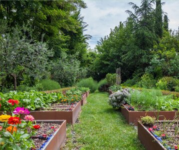 Conférences Conférence - Concevoir jardin nourricier
