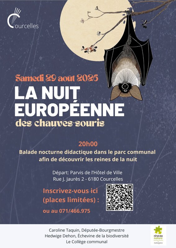 Loisirs Nuit Européenne Chauve-souris