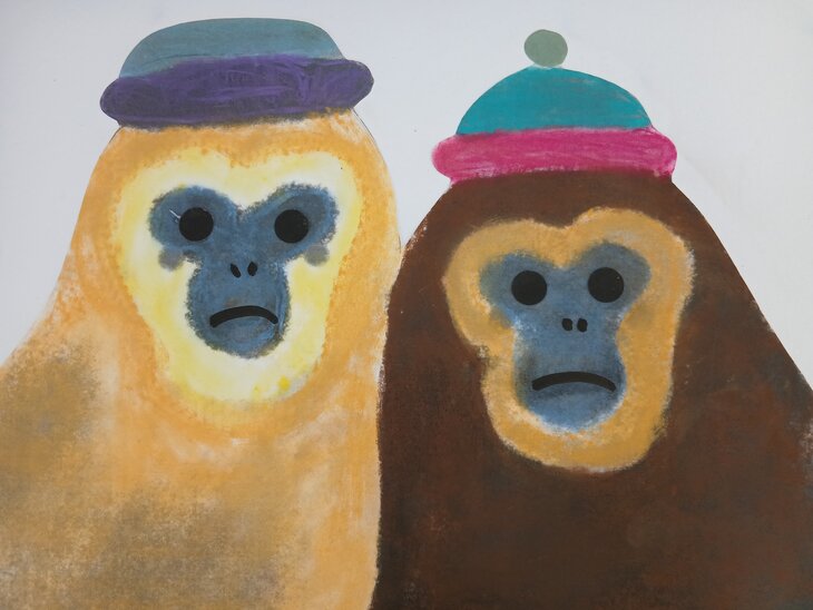 Stages,cours Atelier dessin & peinture - color