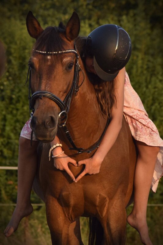 Stages,cours Cours d équitation particulier