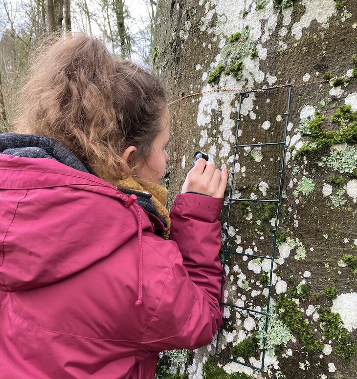 Stages,cours Formation Lichens »
