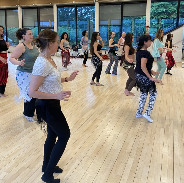 Stages,cours Cours danse orientale dans toute Belgique