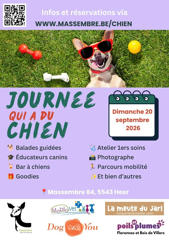 Loisirs Une journée a chien Massembre 