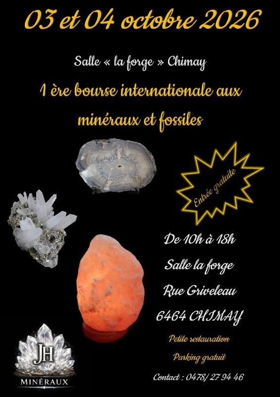 Loisirs Bourse minéraux aux fossiles