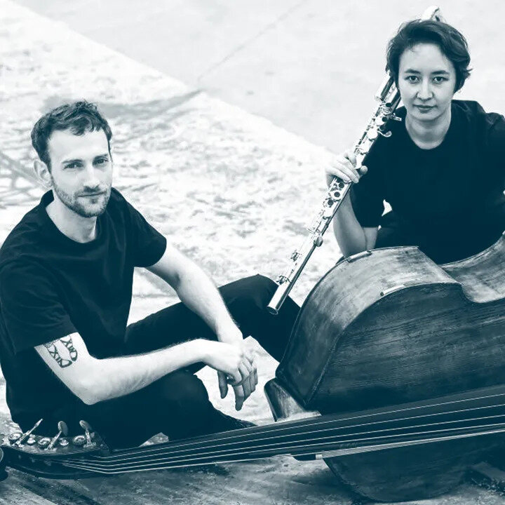 Concerts Duo aelta