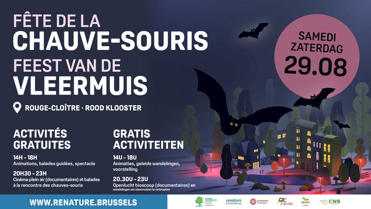 Loisirs Nuit Européenne la Chauve-souris