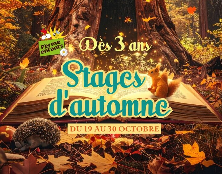 Stages,cours Stages d automne