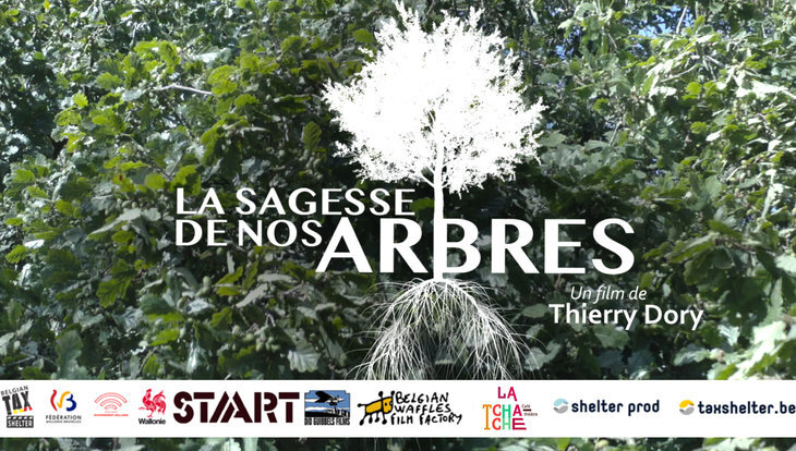Spectacles Film sagesse nos arbres  Un soir