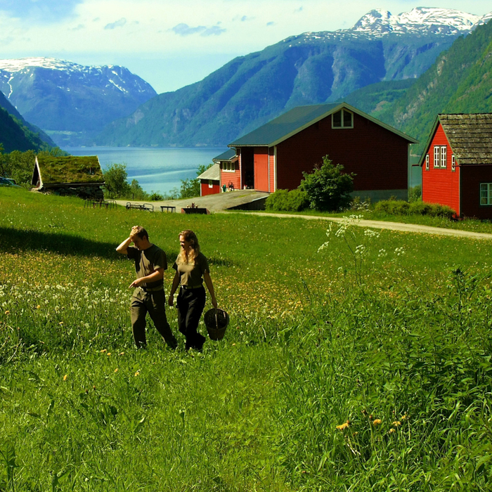 Conférences Norvège, contre-courant