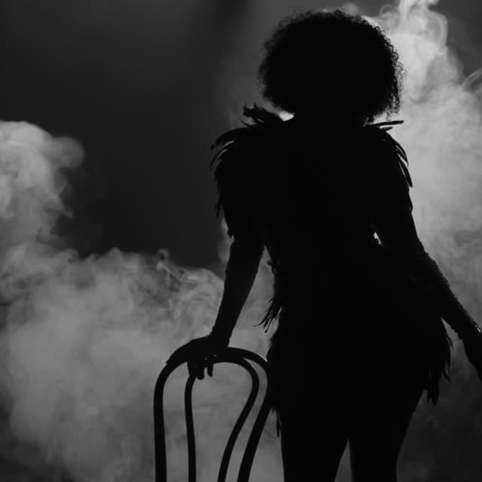 Spectacles Janneke Follies Revue Cabaret