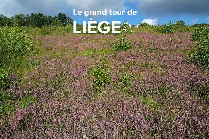 Loisirs Le grand tour Liège - Chênée la Boverie (IV)