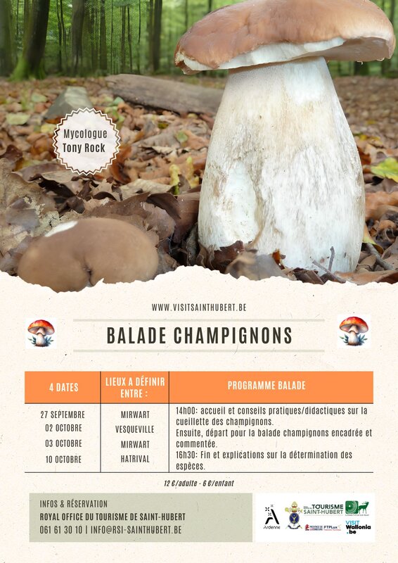 Loisirs Balade cueillette Champignons