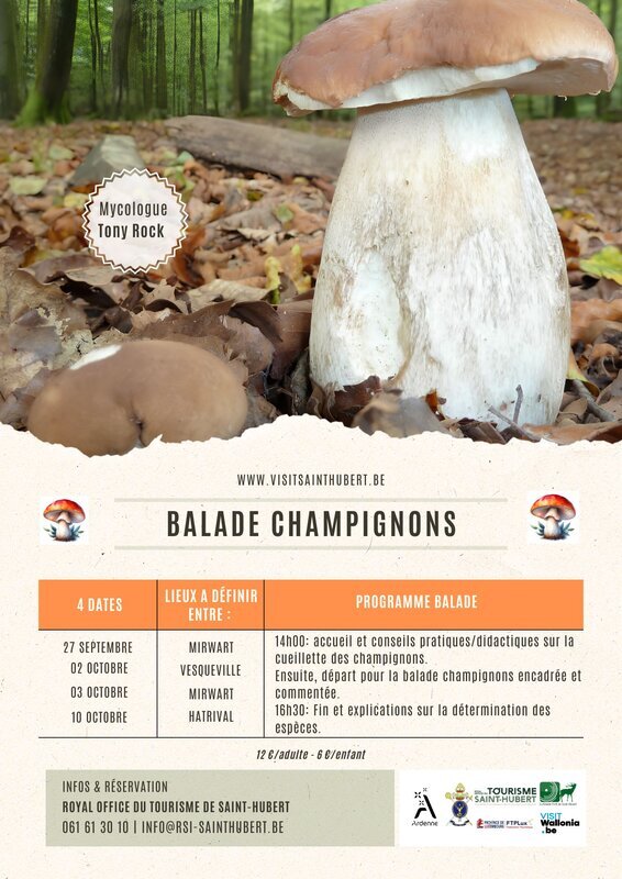 Loisirs Balade cueillette Champignons