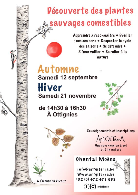 Loisirs Découverte plantes sauvages comestibles d Automne