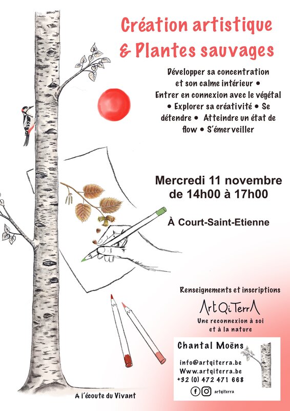 Stages,cours Création artistique plantes sauvages