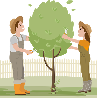 Loisirs Taille arbres fruitiers verger