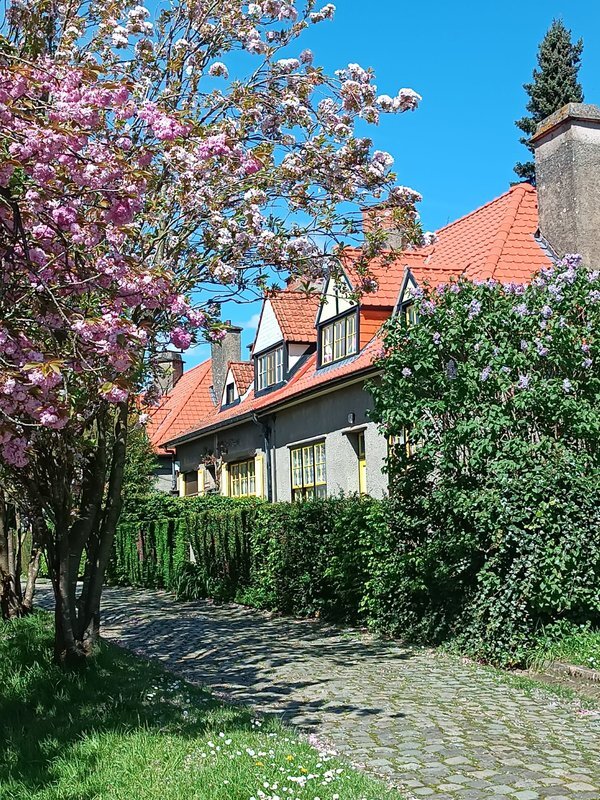 Loisirs Visites guidées cités-jardins Logis Floréal