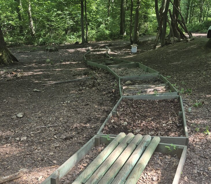 Loisirs Balade didactique dans Bois la Flache