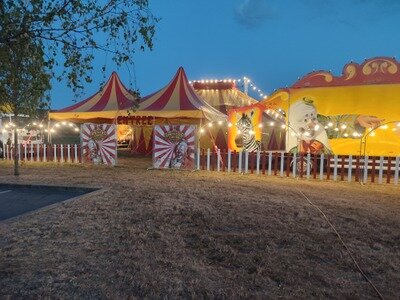 Spectacles Cirque d Avignon spectacle sans animaux