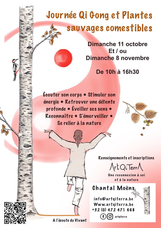 Stages,cours Journée Qi Gong découverte plantes sauvages comestibles