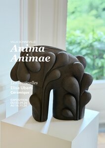 Spectacles Anima, Animae