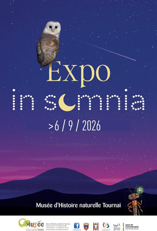 Expositions Insomnia