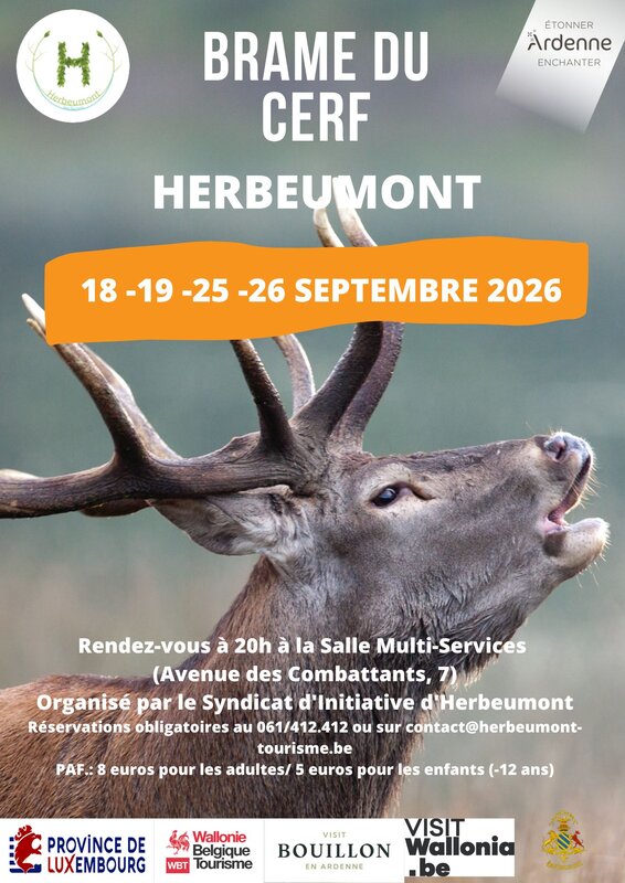 Loisirs Sortie l écoute Brâme Cerf