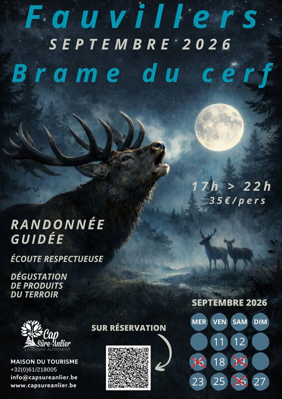 Loisirs Balades brame cerf