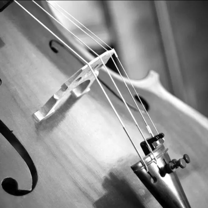 Conférences Conférence l Antenne interuniversitaire Jette : L’Odyssée Violoncelle Jean-M