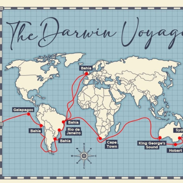Conférences Conférence l Antenne interuniversitaire Jette : Le voyage Darwin la Théorie