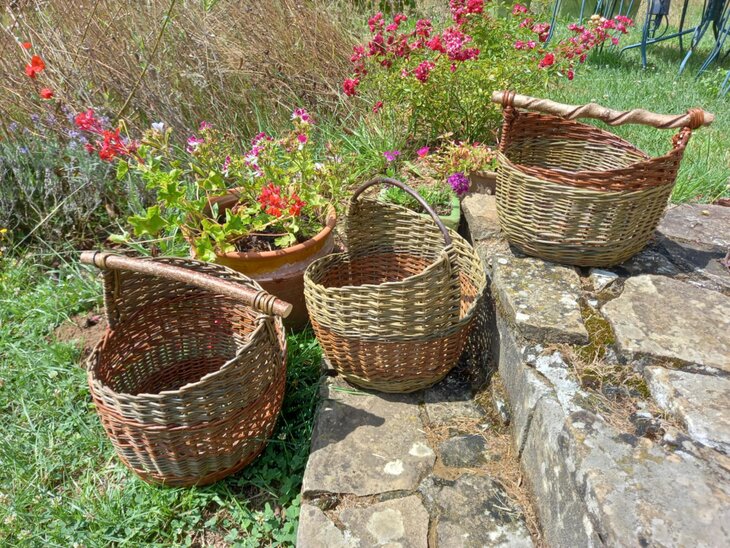 Stages,cours Initiation la vannerie - tressage panier osier